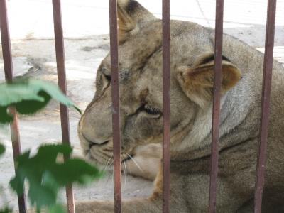 Прикрепленное изображение: IMG_1643.JPG